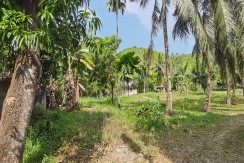 Lot for Sale in Brgy San Vicente, Liloan Cebu