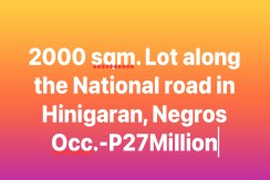 2,000 sqm lot along the National highway in Hinigaran, Negros Occ