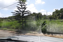 Vacant Lot at Metrogate Tagaytay Estates Tagaytay City