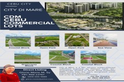 Prime Waterfront Commercial Investment | Cebu City - City Di Mare